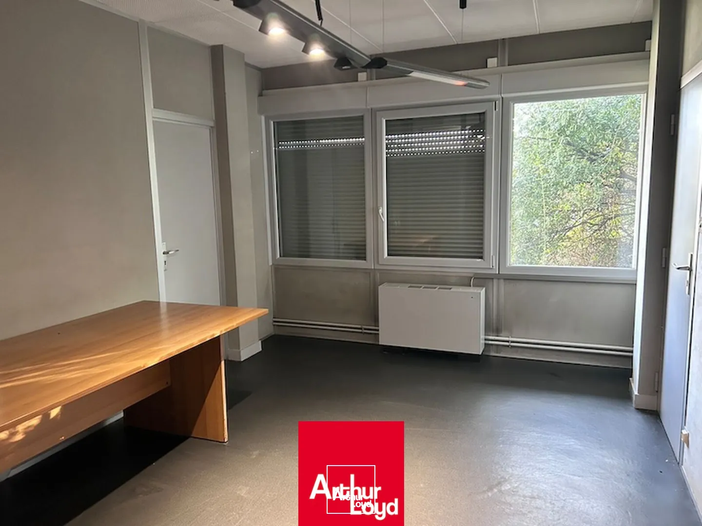 Locaux d'activité & Entrepôts - Location - BOURG EN BRESSE - 01000 - 3400-3400 - 7931038