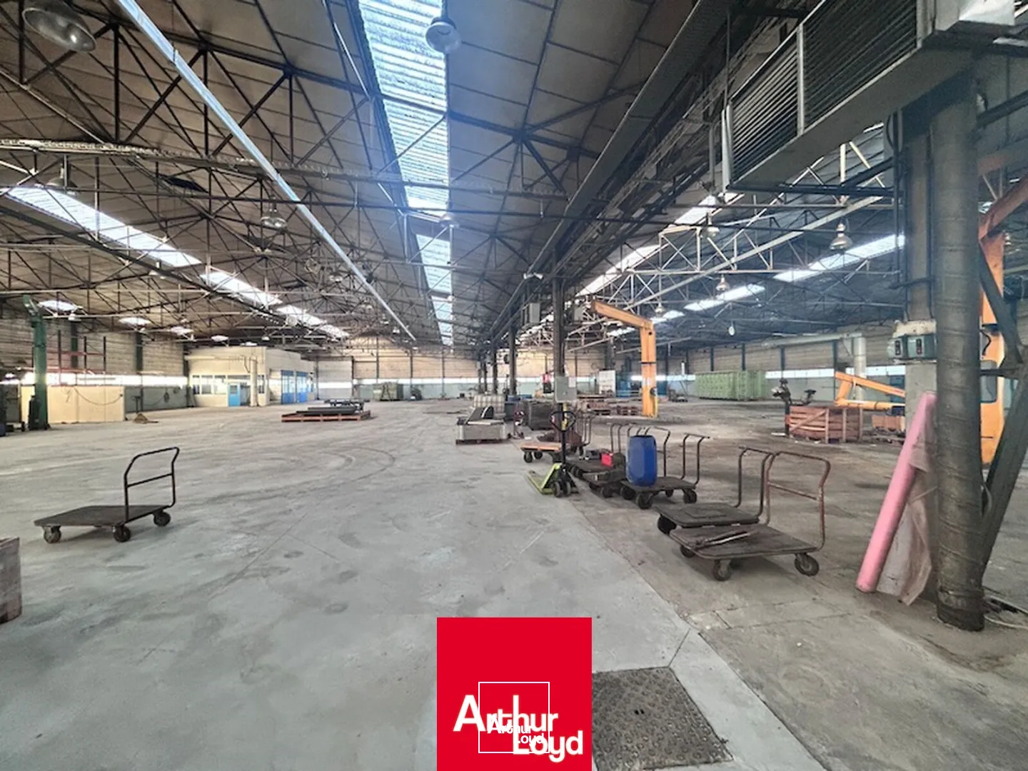 Locaux d'activité & Entrepôts - Location - BOURG EN BRESSE - 01000 - 3400-3400 - 7931040