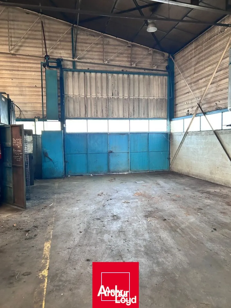 Locaux d'activité & Entrepôts - Location - BOURG EN BRESSE - 01000 - 3400-3400 - 7931045