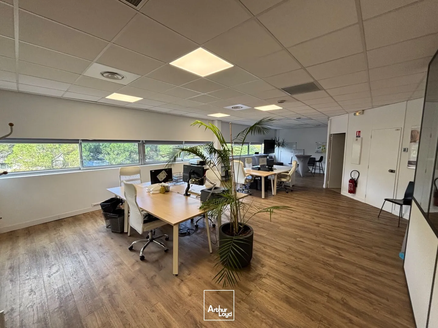 Bureaux - Vente - BORDEAUX - 33300 - 265.4-265.4 - 7931158