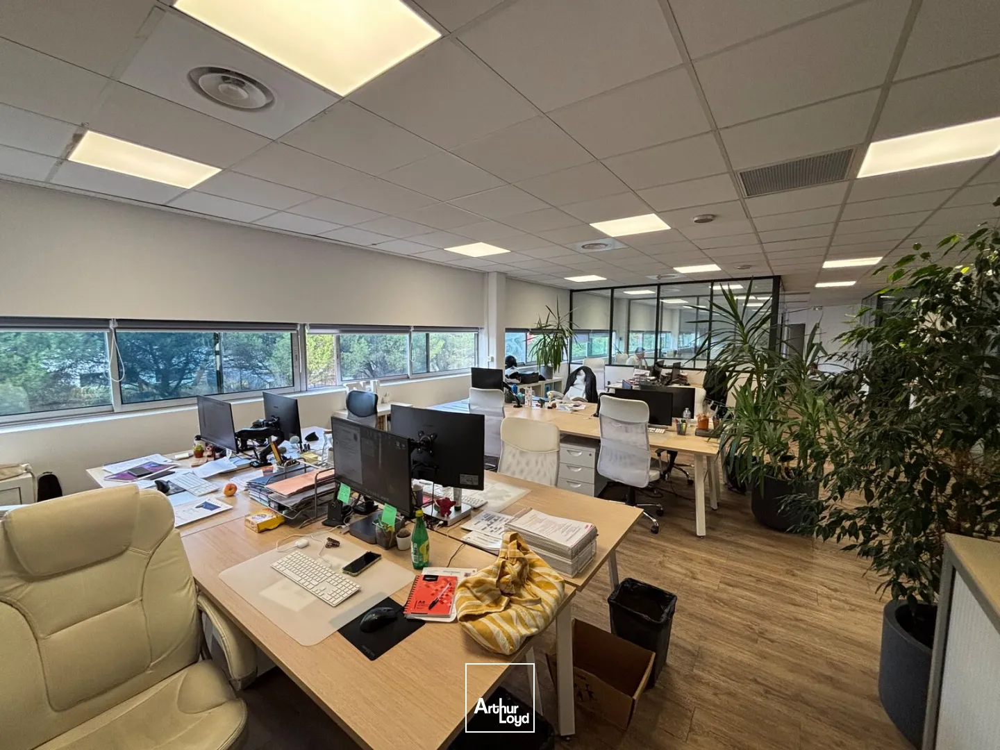Bureaux - Vente - BORDEAUX - 33300 - 265.4-265.4 - 7931156