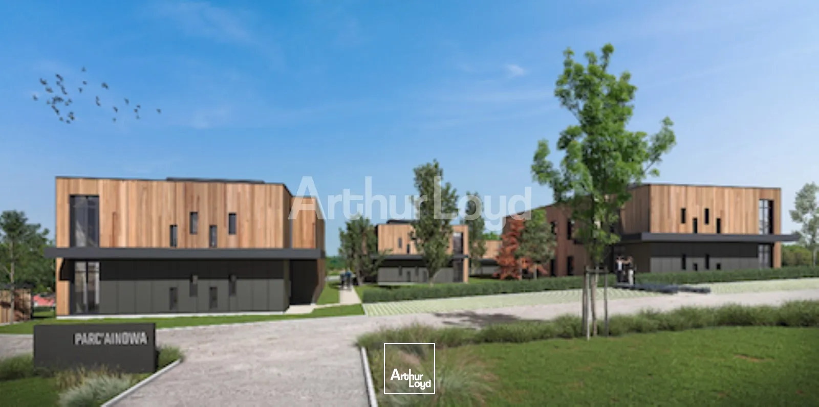 Bureaux - Location - FEIGNIES - 59750 - 251-1706.4 - 7934196