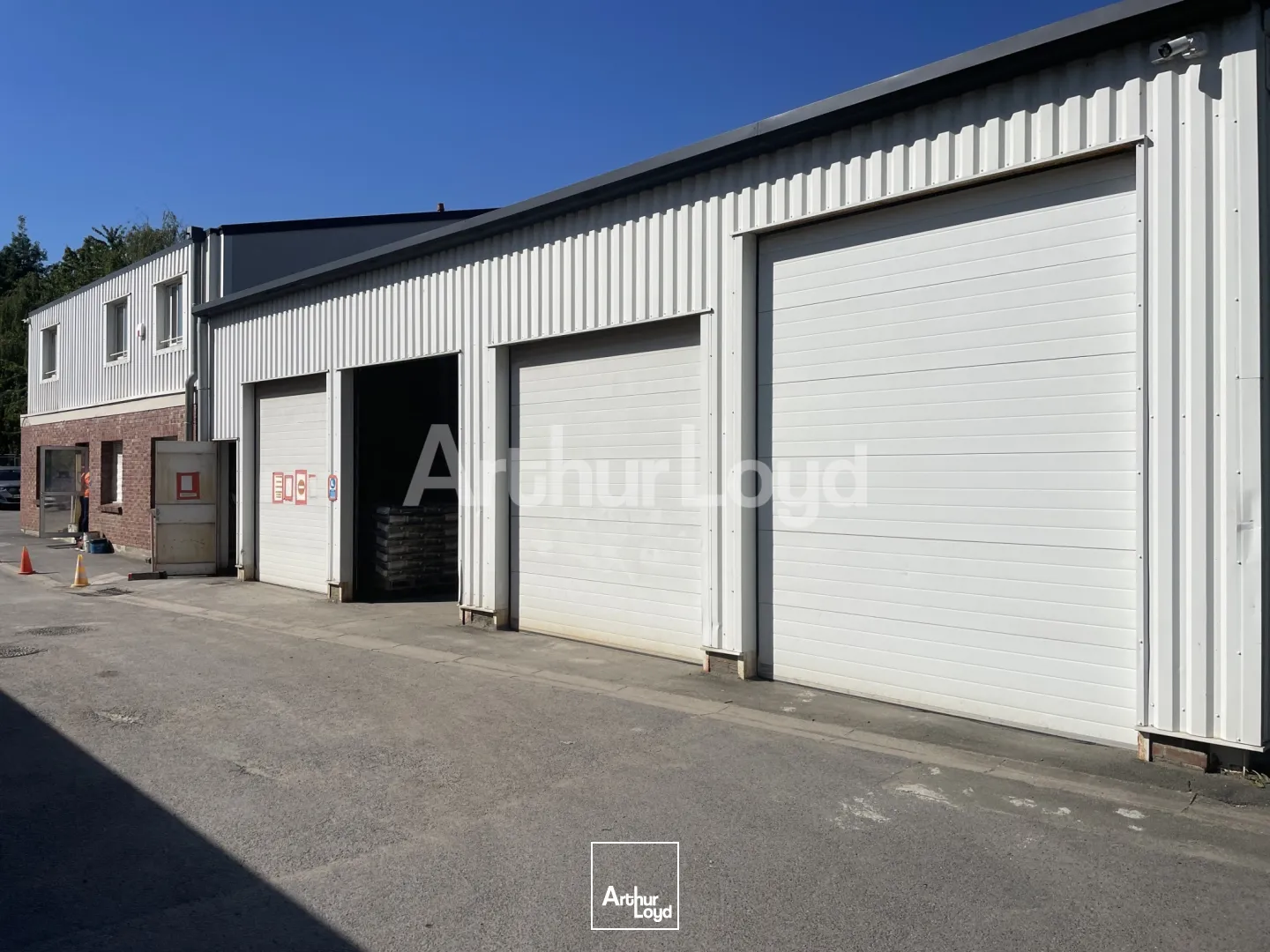 Locaux d'activité & Entrepôts - Vente - SALLAUMINES - 62430 - 480-1235 - 7934993
