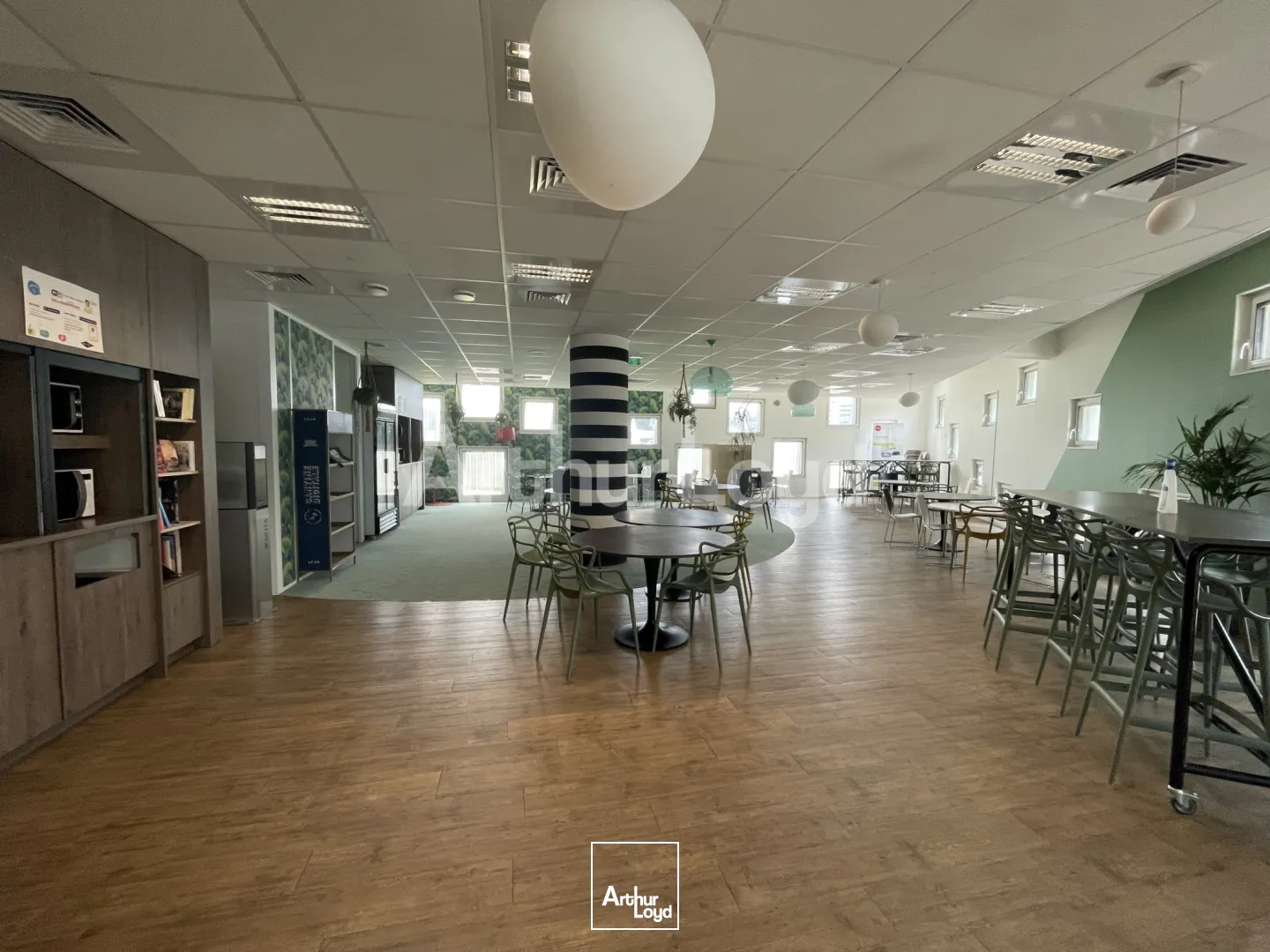 Bureaux - Location - LA MADELEINE - 59110 - 383-5343 - 7939103