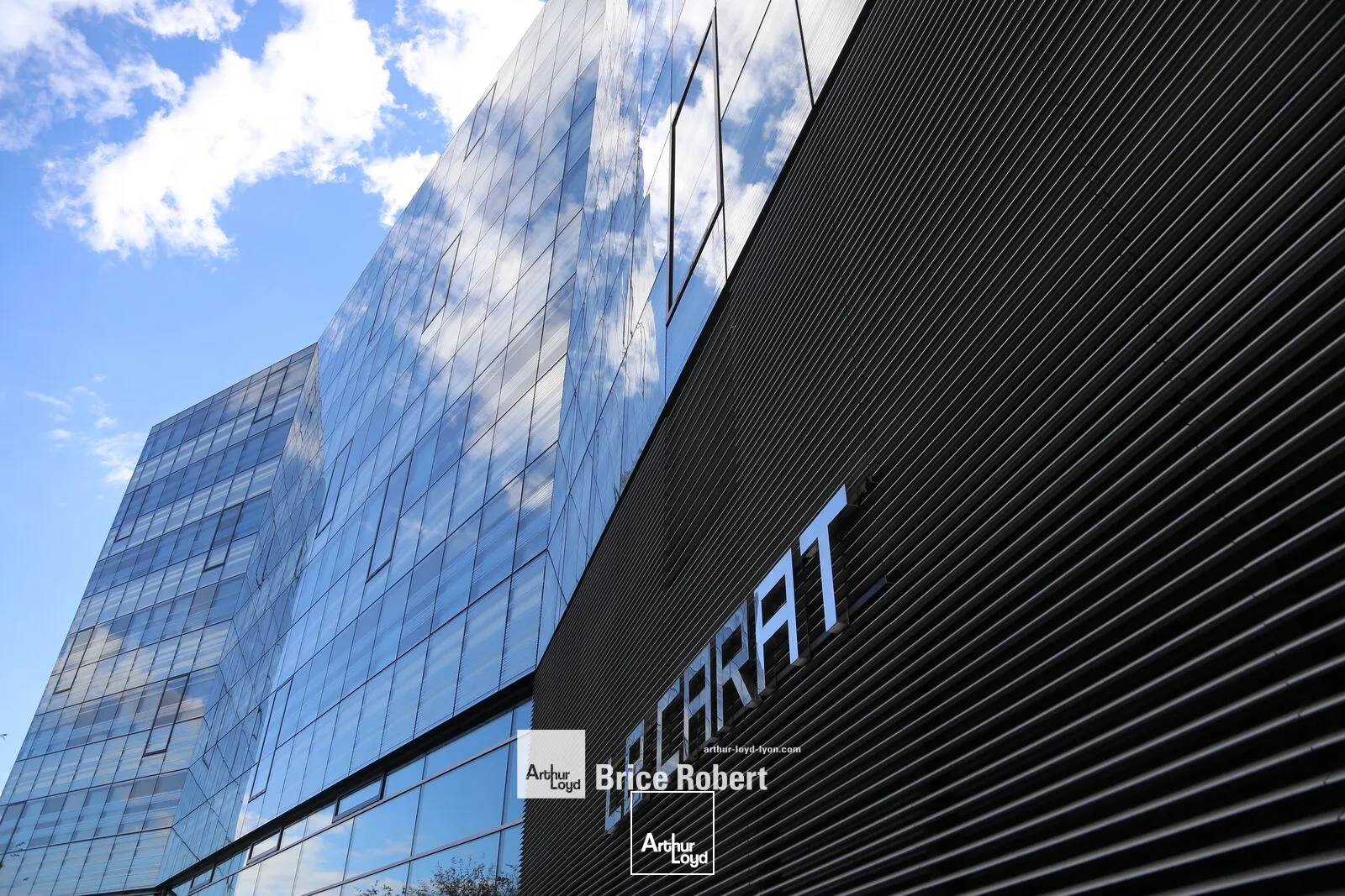 Bureaux - Location - LYON - 69006 - 14548-14548 - 7946208