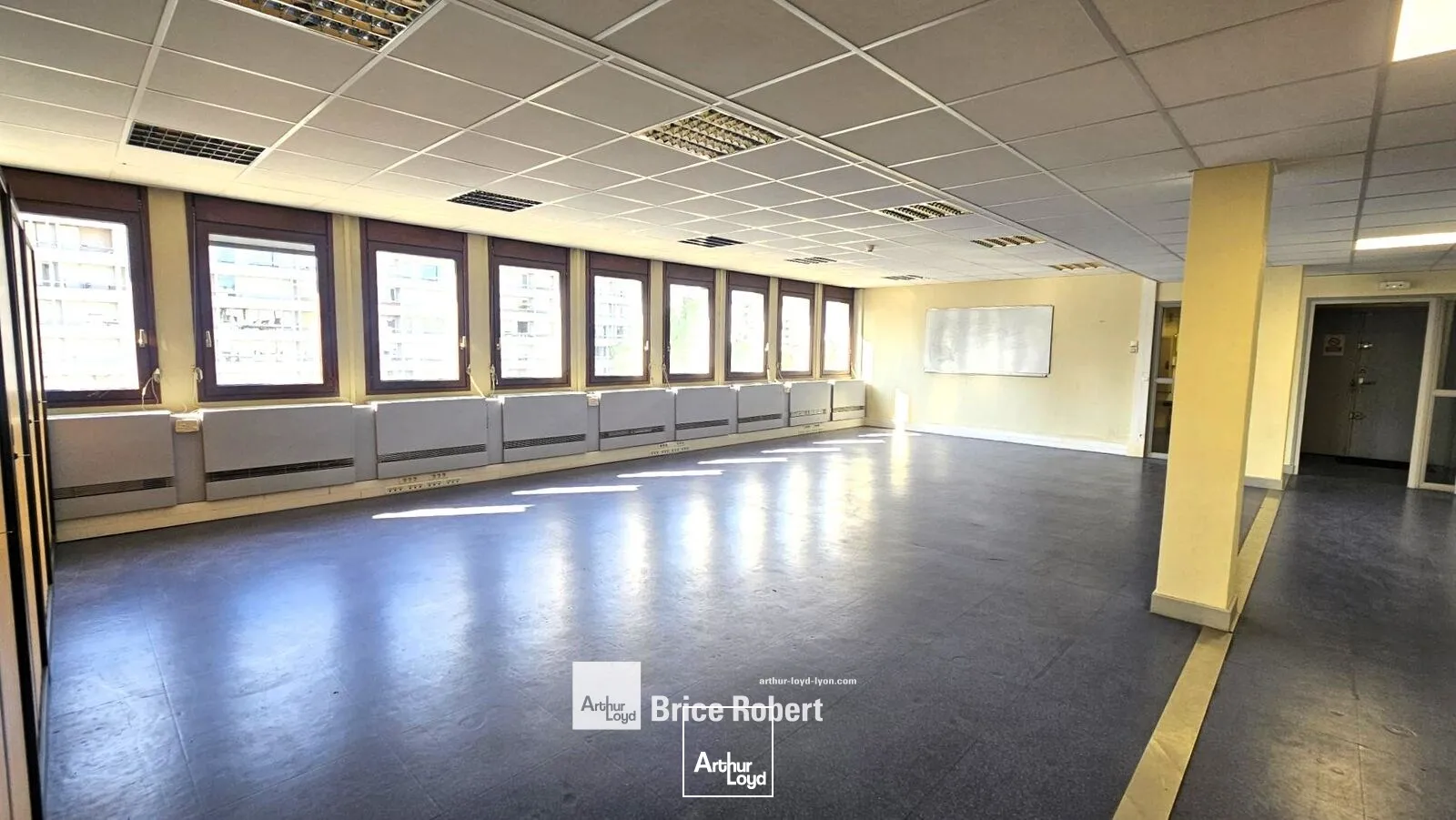 Bureaux - Location - VILLEURBANNE - 69100 - 250-1355 - 7947269