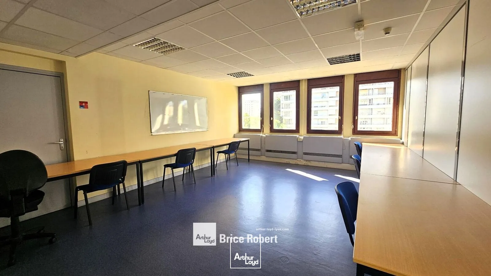 Bureaux - Location - VILLEURBANNE - 69100 - 250-1355 - 7947270