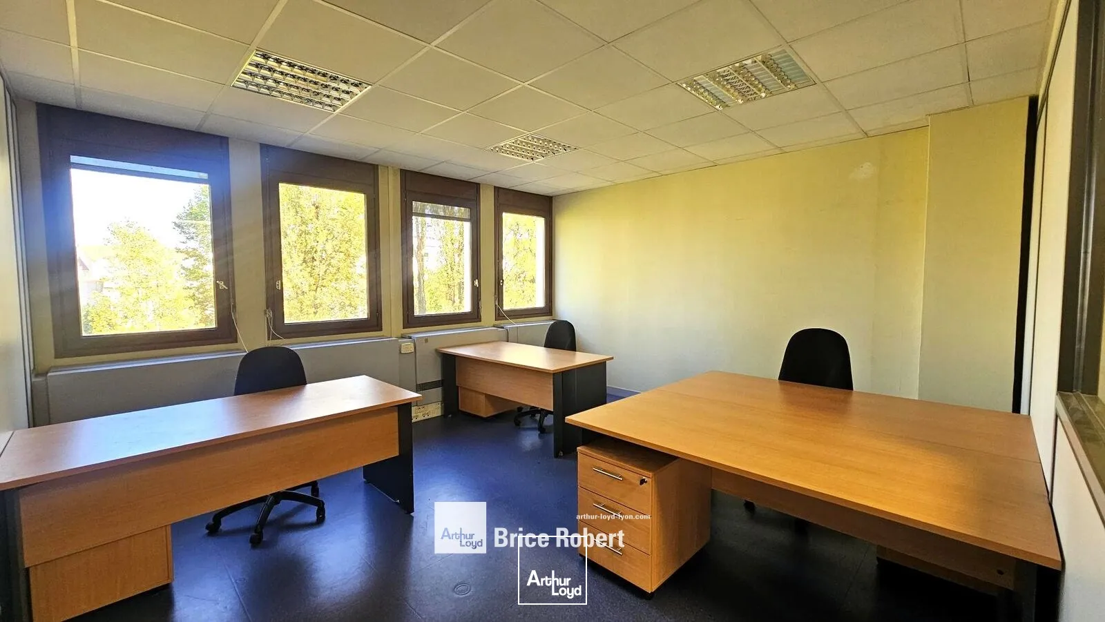 Bureaux - Location - VILLEURBANNE - 69100 - 250-1355 - 7947271