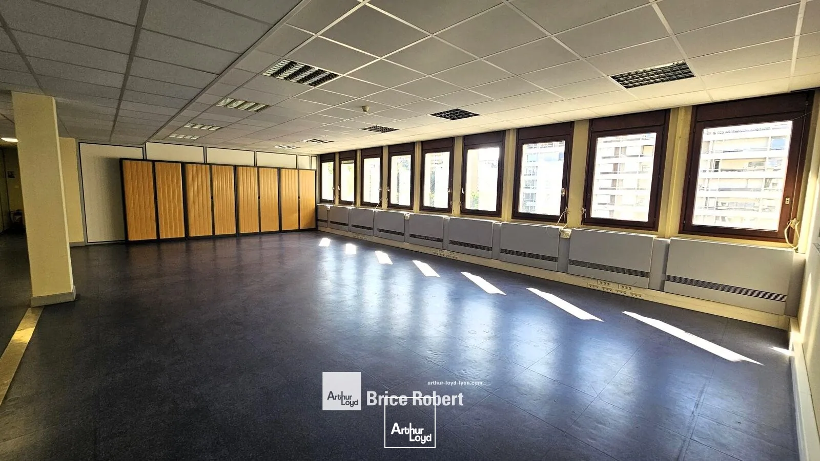 Bureaux - Location - VILLEURBANNE - 69100 - 250-1355 - 7947272