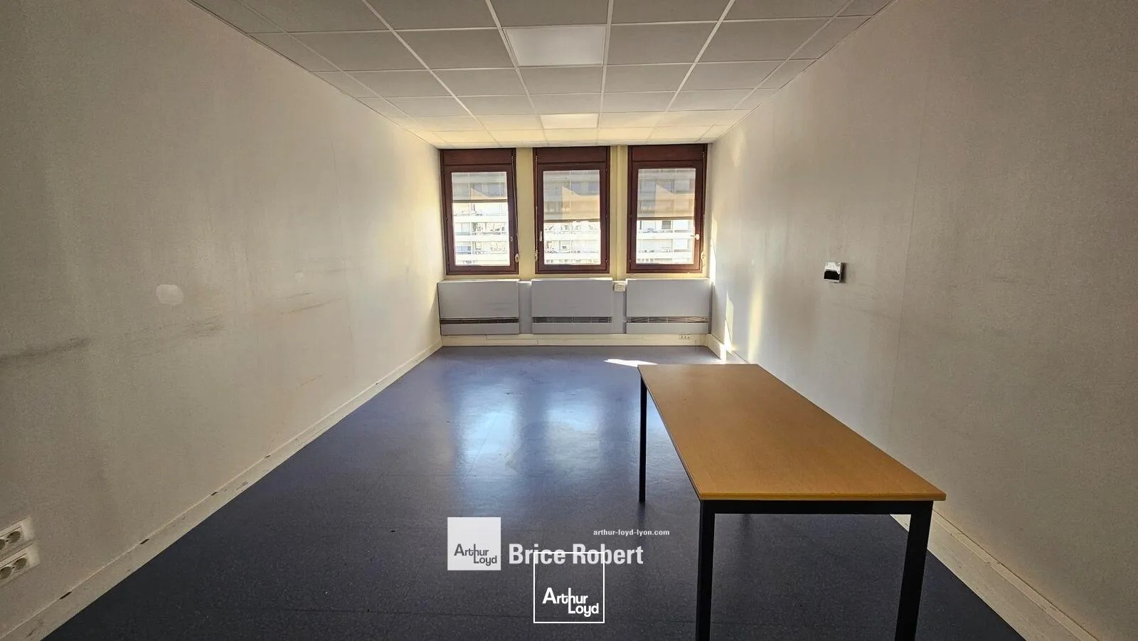 Bureaux - Location - VILLEURBANNE - 69100 - 250-1355 - 7947273