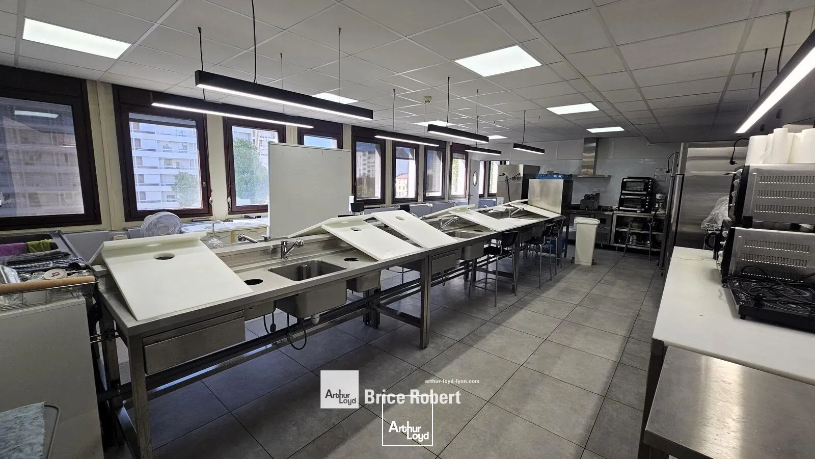 Bureaux - Location - VILLEURBANNE - 69100 - 250-1355 - 7947274