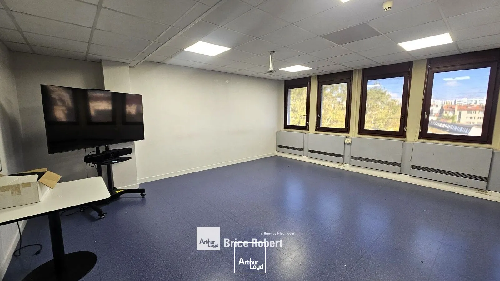 Bureaux - Location - VILLEURBANNE - 69100 - 250-1355 - 7947275