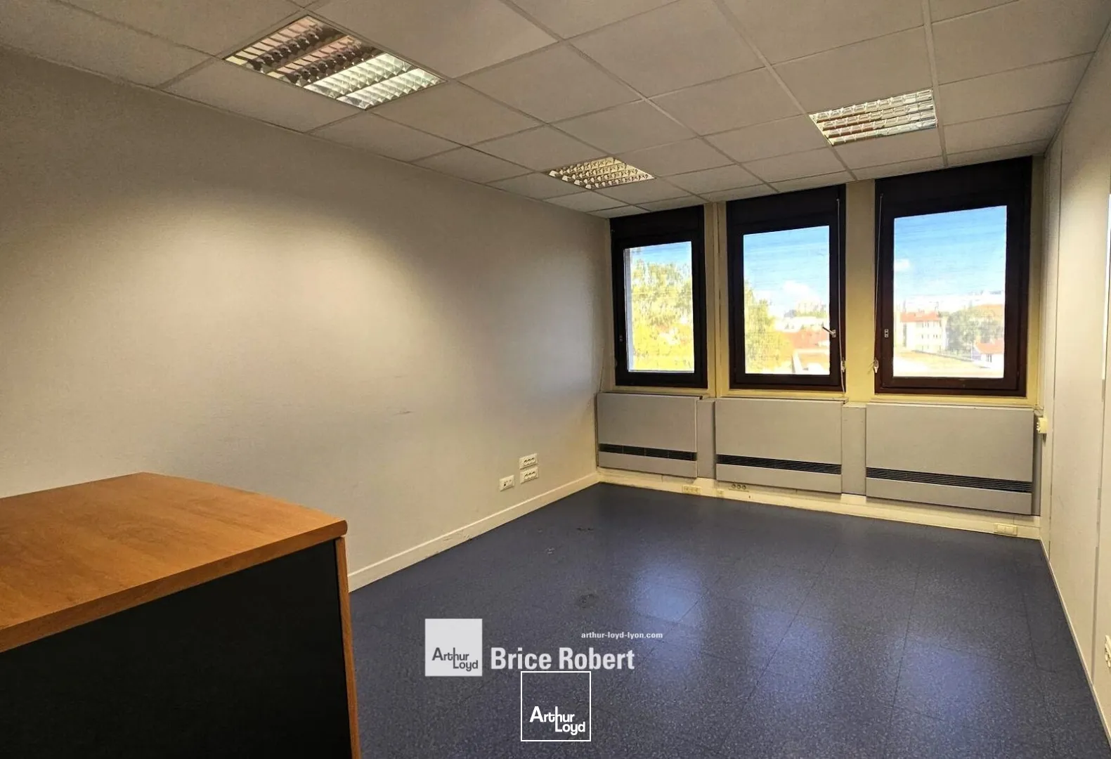 Bureaux - Location - VILLEURBANNE - 69100 - 250-1355 - 7947276