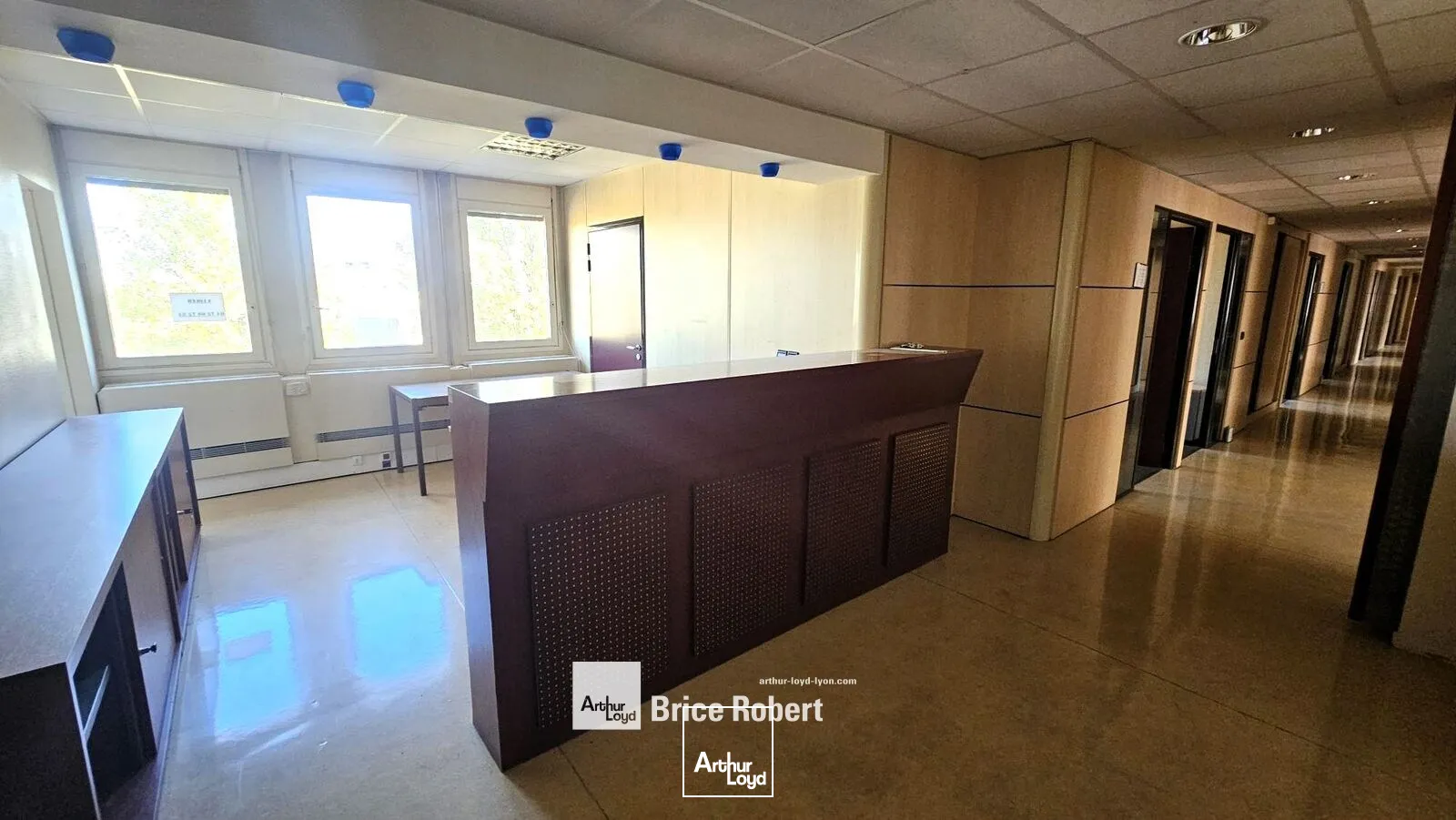 Bureaux - Location - VILLEURBANNE - 69100 - 250-1355 - 7947277