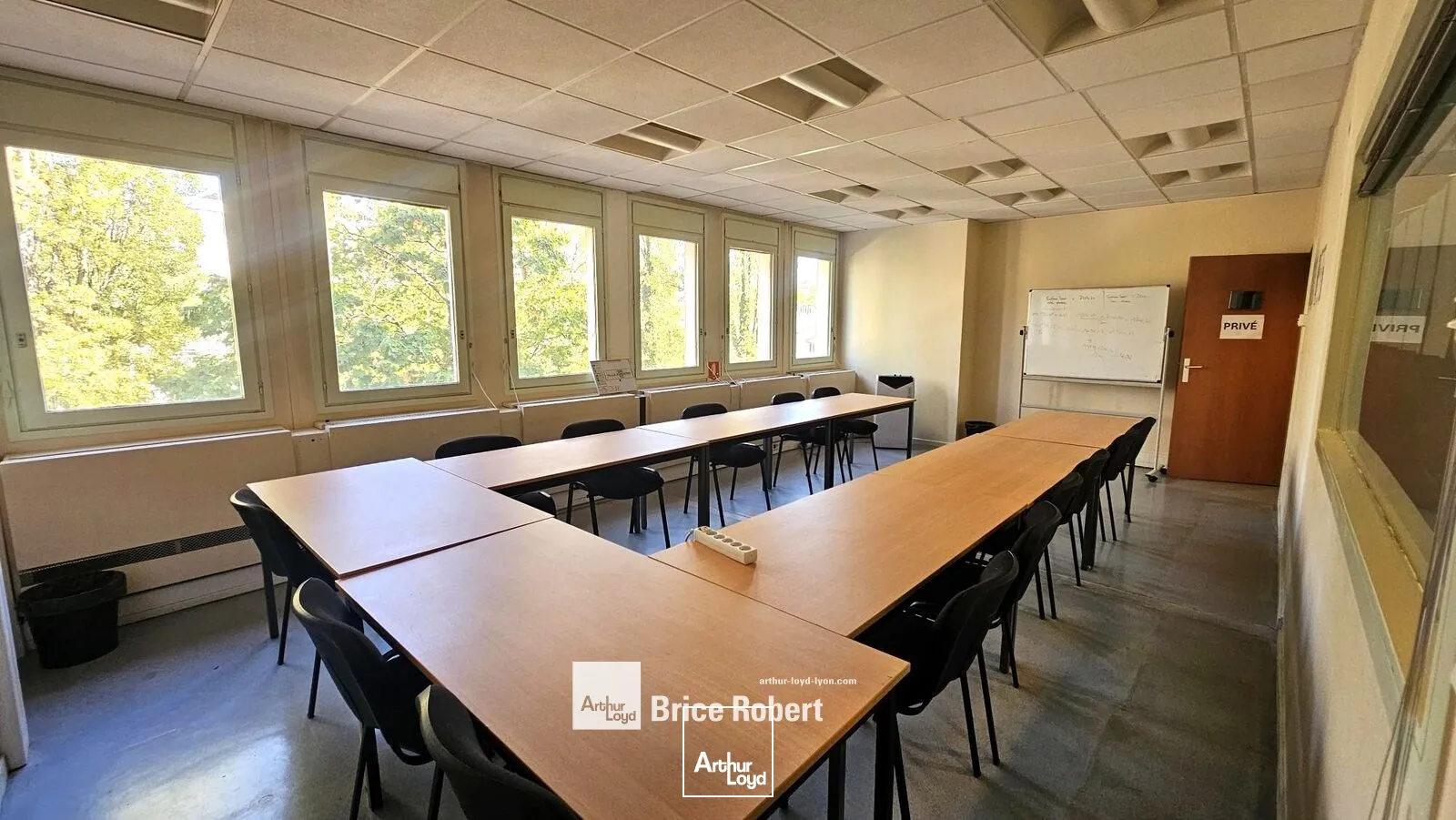Bureaux - Location - VILLEURBANNE - 69100 - 250-1355 - 7947268