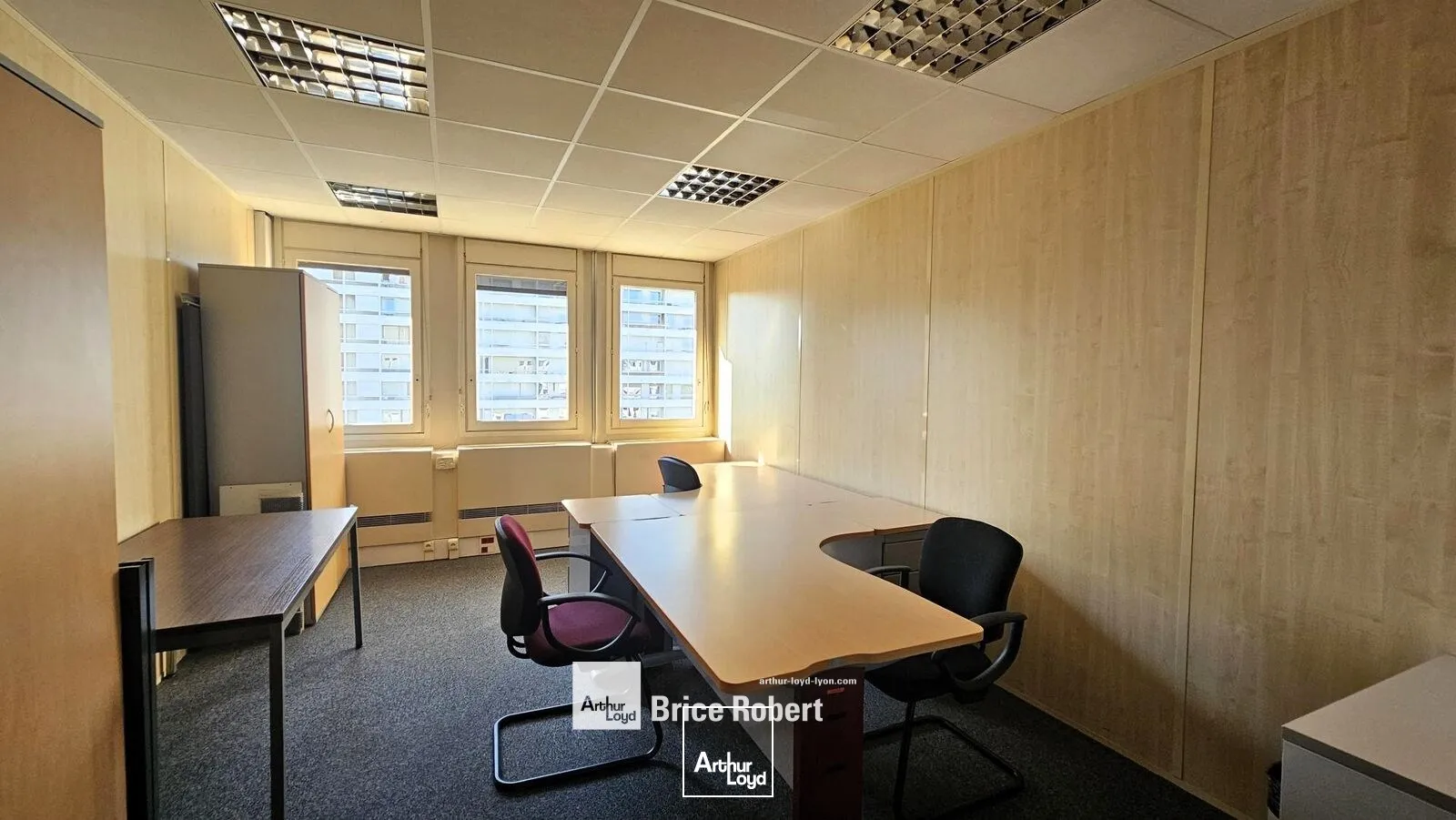 Bureaux - Location - VILLEURBANNE - 69100 - 250-1355 - 7947278