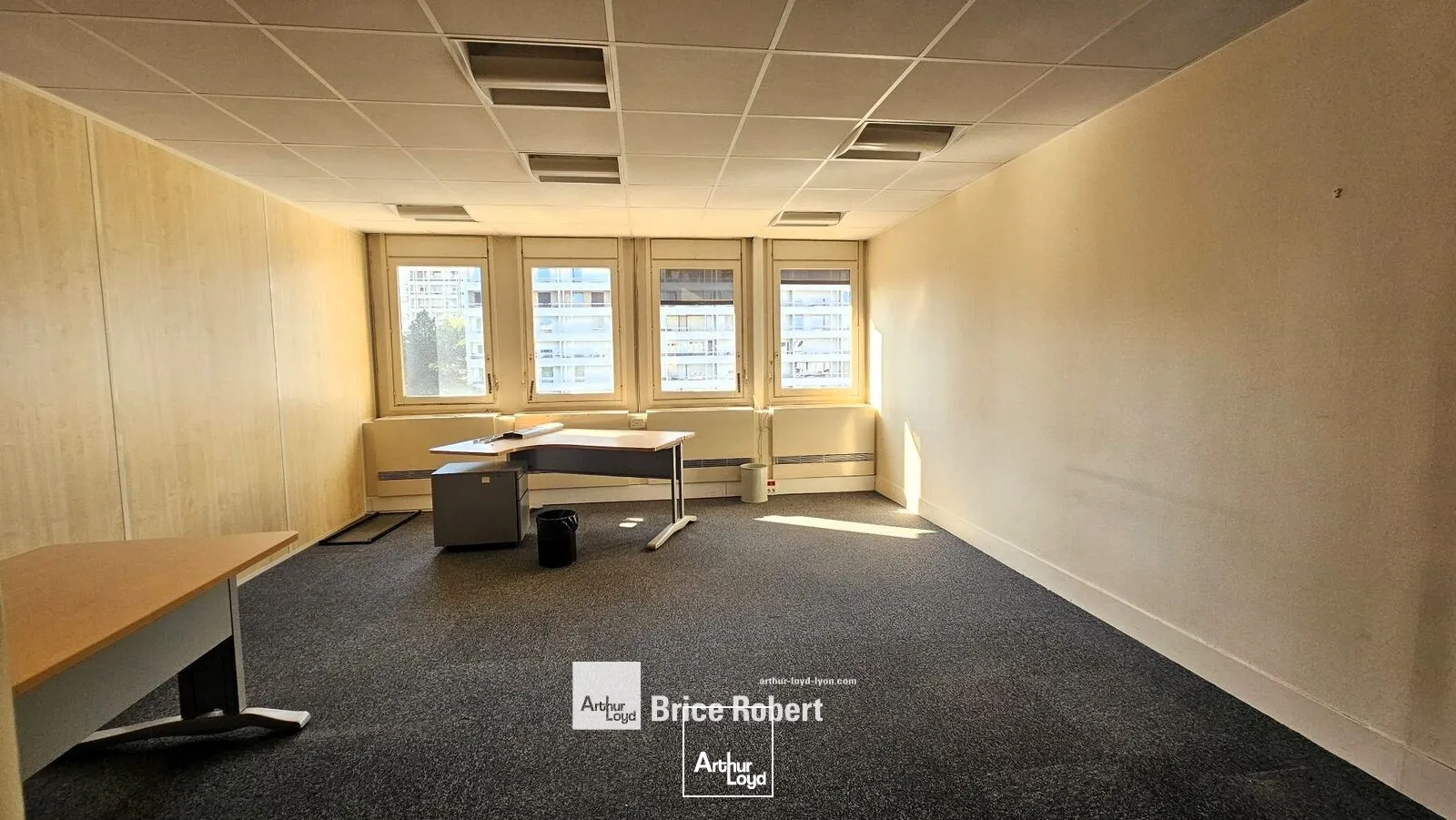 Bureaux - Location - VILLEURBANNE - 69100 - 250-1355 - 7947279