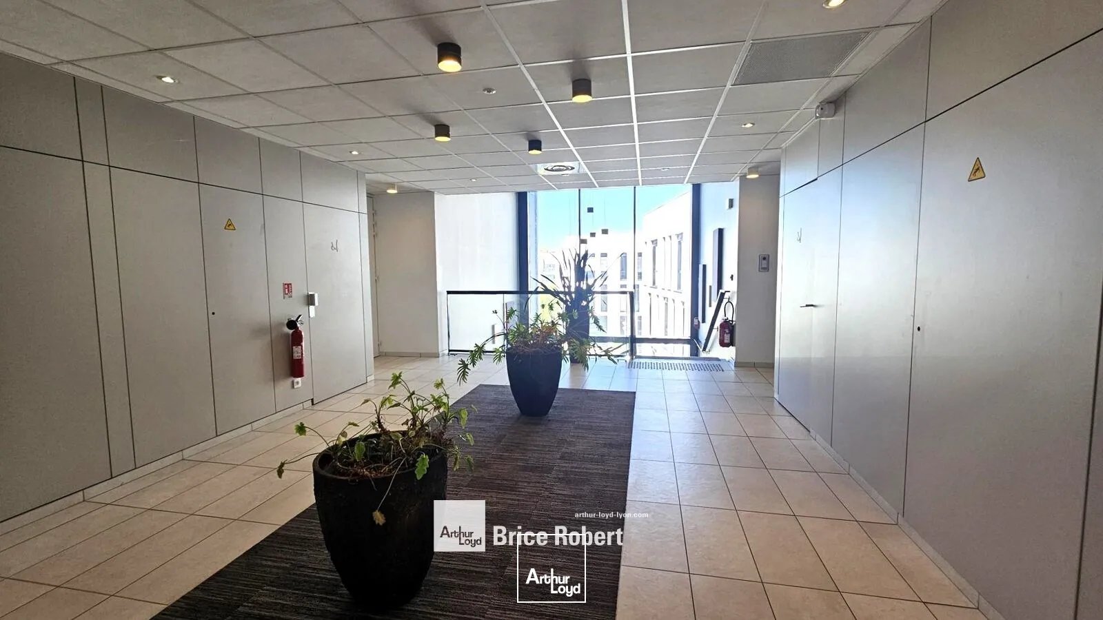 Bureaux - Location - LYON - 69007 - 305-305 - 7947281