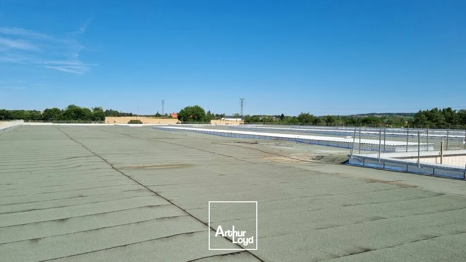 Locaux d'activité & Entrepôts - Location - DISSAY - 86130 - 240-240 - 7947546