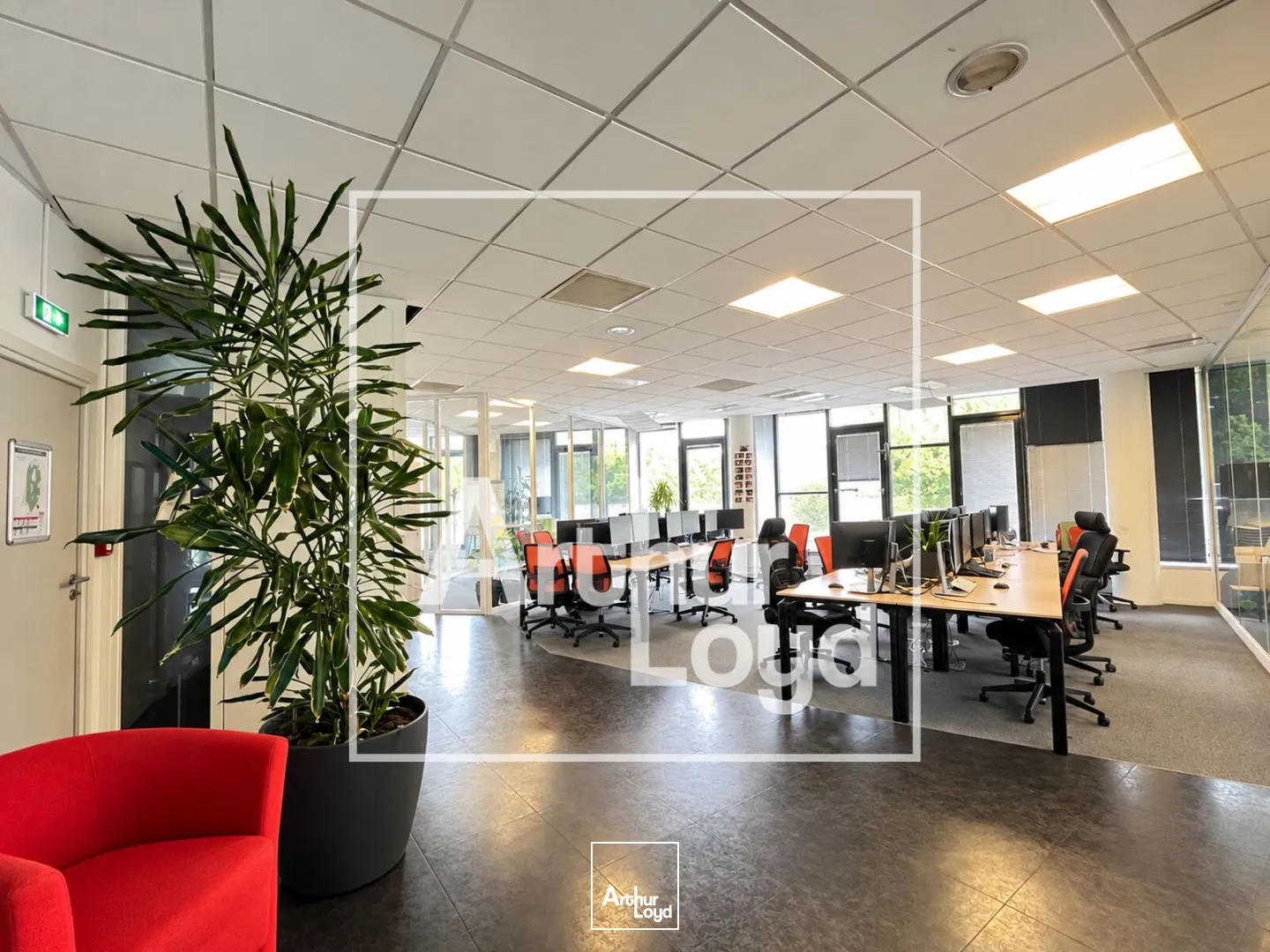 Bureaux - Vente - MONTPELLIER - 34000 - 171.8-724.8 - 7947853