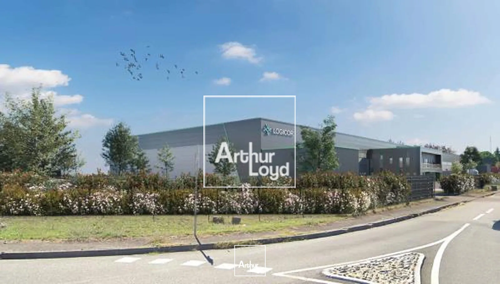 Locaux d'activité & Entrepôts - Location - LESPINASSE - 31150 - 9929-9929 - 7948122