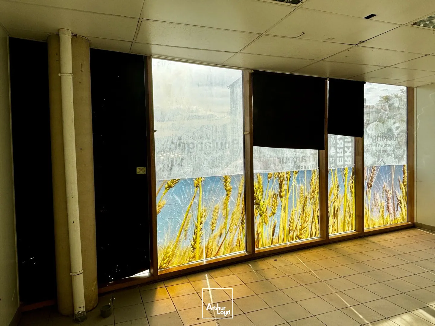 Locaux commerciaux - Vente - BEZIERS - 34500 - 360.55-360.55 - 7950155