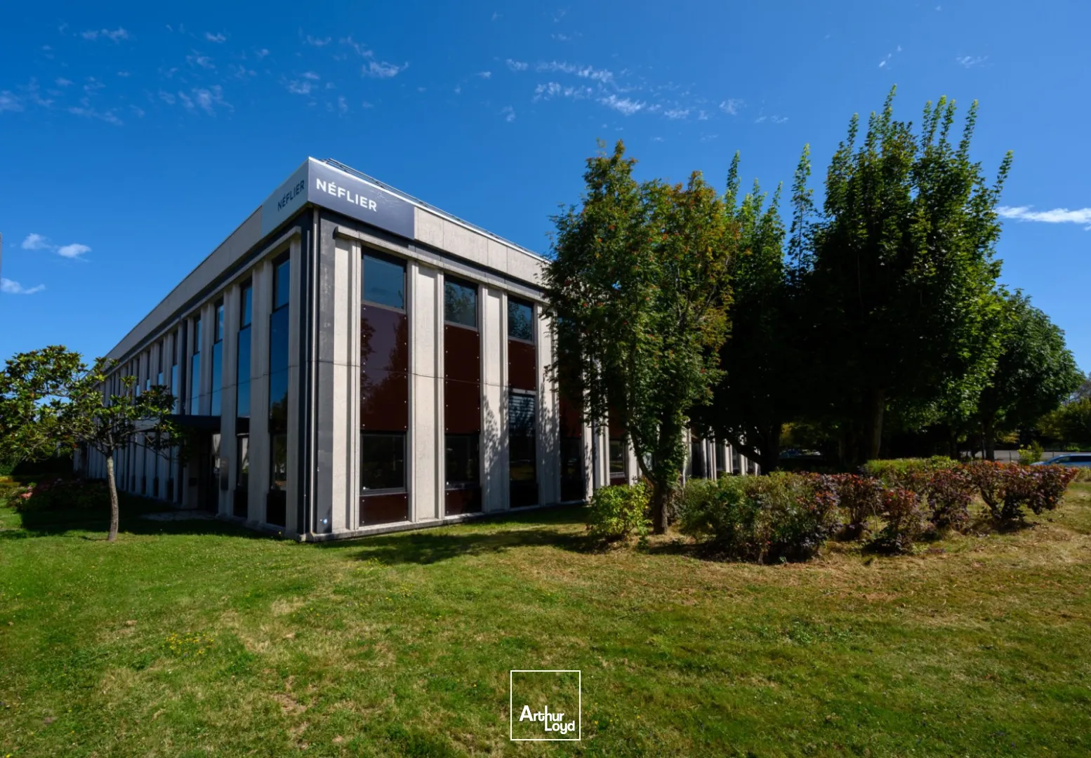 Locaux d'activité & Entrepôts - Location - VILLEBON SUR YVETTE - 91140 - 591-591 - 7950574