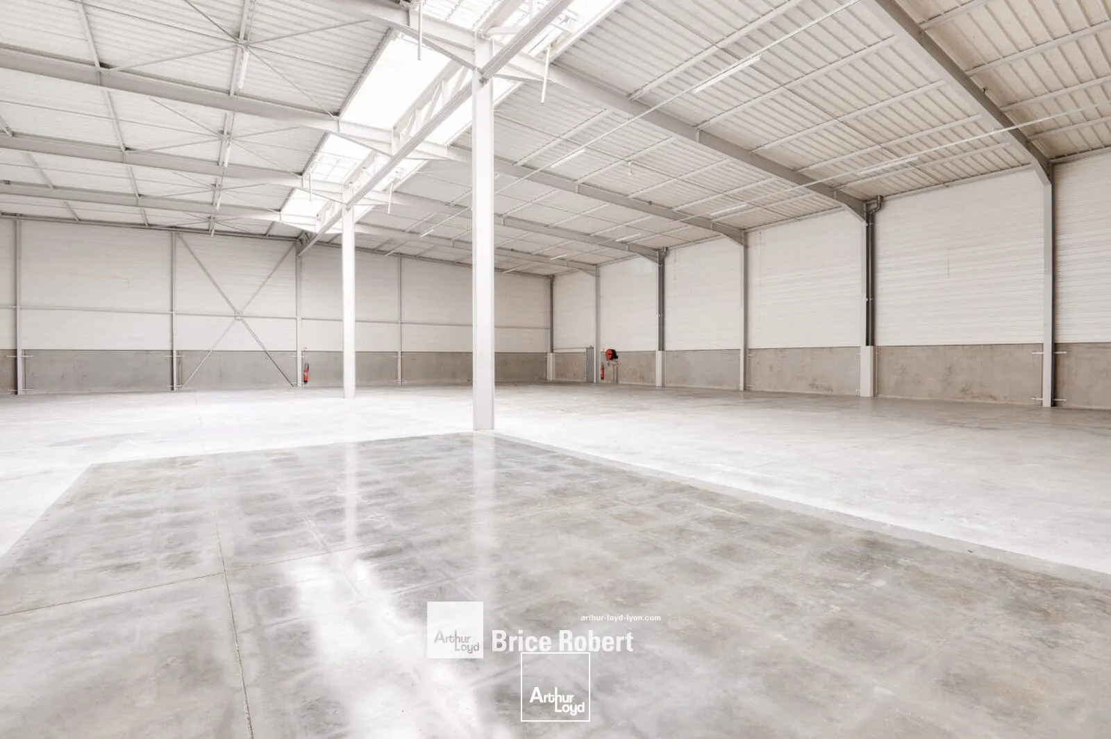 Locaux d'activité & Entrepôts - Location - SAINT PRIEST - 69800 - 1032-1032 - 7950819