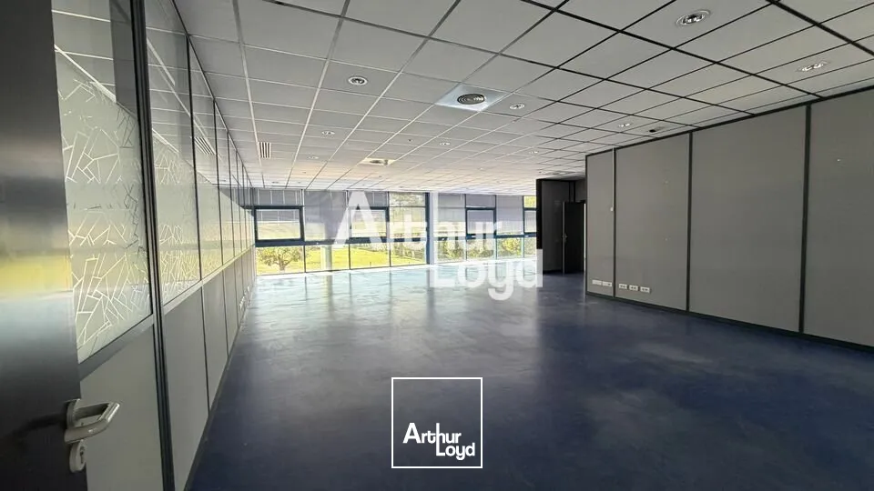 Bureaux - Location - LE MANS - 72100 - 1684-1684 - 7951065