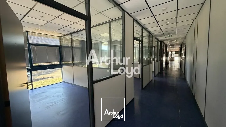 Bureaux - Location - LE MANS - 72100 - 1684-1684 - 7951069
