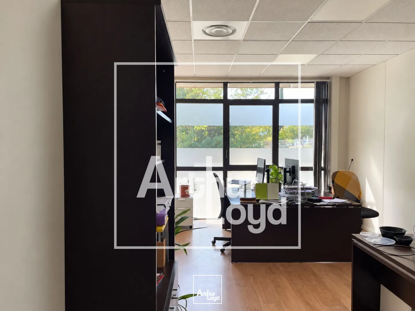 Bureaux - Location - MONTPELLIER - 34000 - 382-382 - 7951446