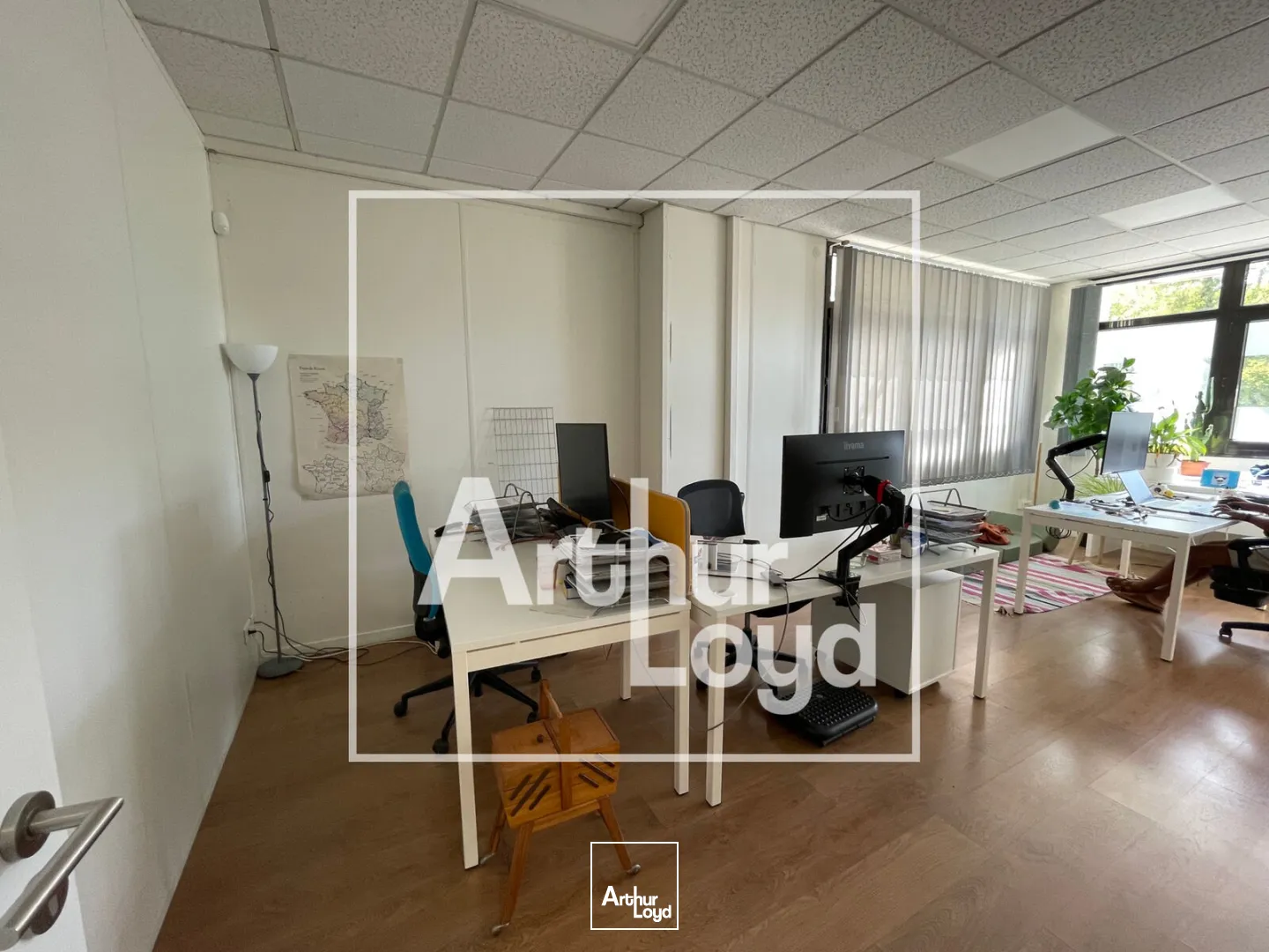 Bureaux - Location - MONTPELLIER - 34000 - 382-382 - 7951451