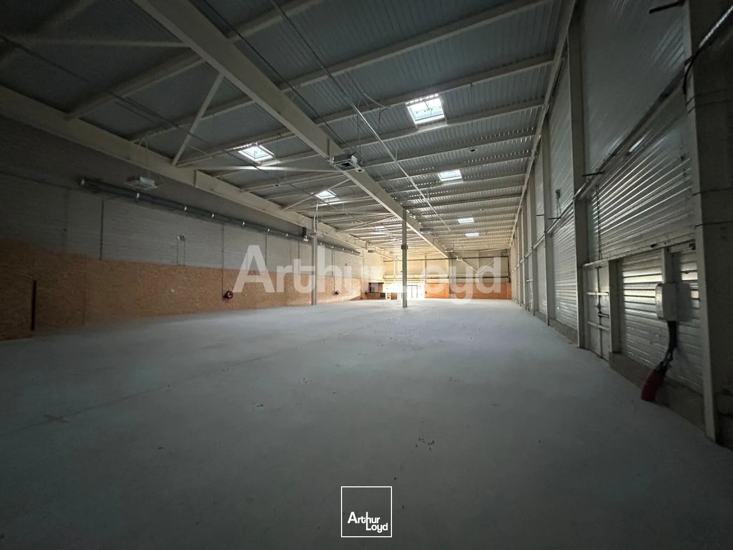 Locaux commerciaux - Location - CALAIS - 62100 - 1338-1338 - 7951711