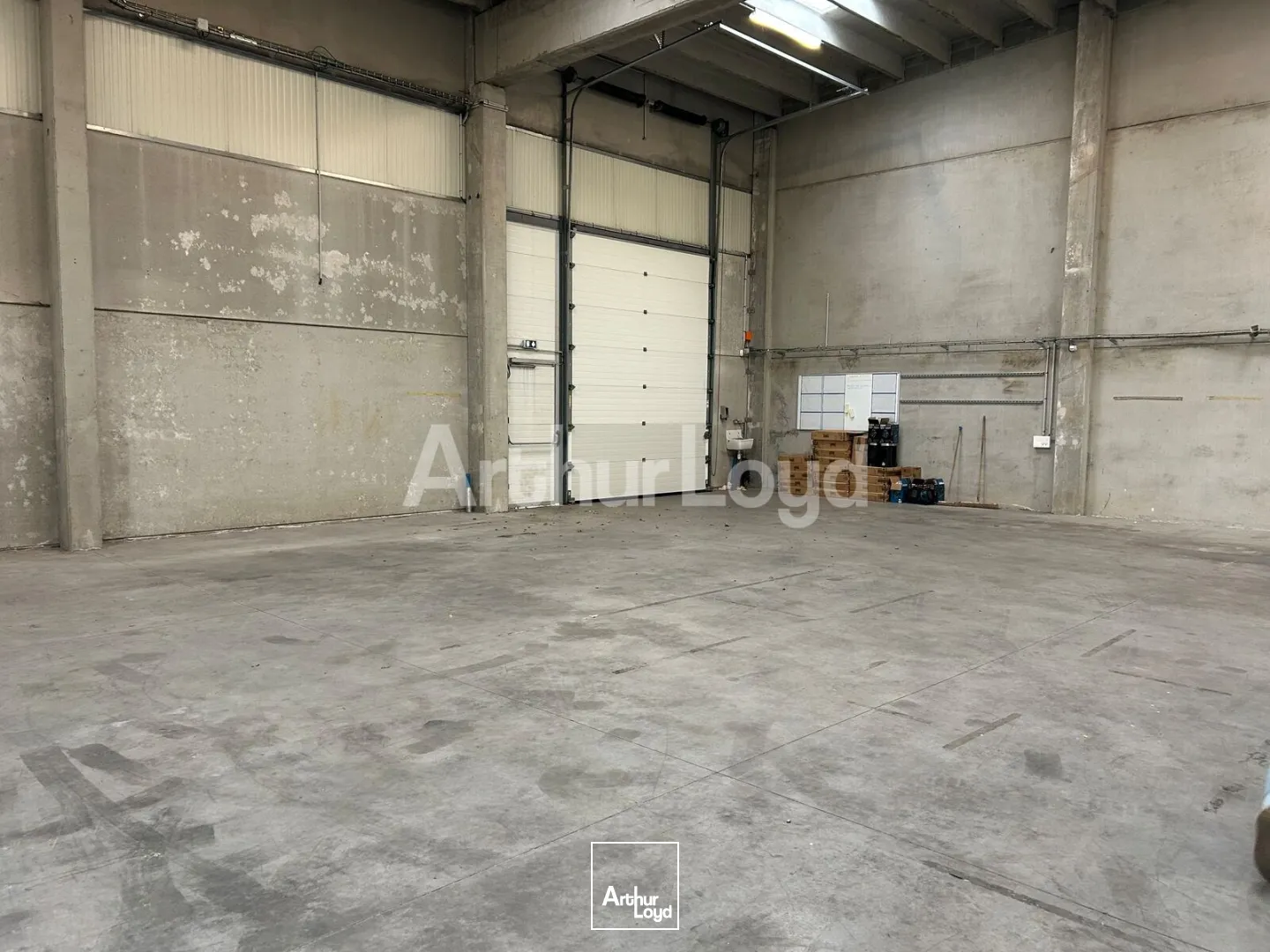 Locaux d'activité & Entrepôts - Location - TEMPLEMARS - 59175 - 545-545 - 7951721