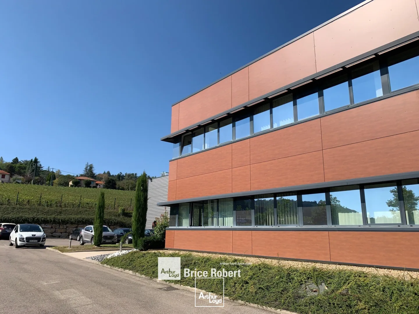 Locaux d'activité & Entrepôts - Location - POMMIERS - 69480 - 2917-2917 - 7951791