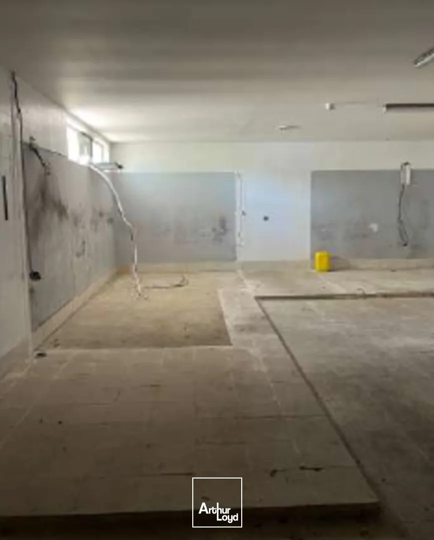 Locaux d'activité & Entrepôts - Location - LIMOGES - 87280 - 470-470 - 7951880