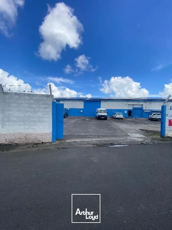 Locaux d'activité & Entrepôts - Location - Fort De France - 97200 - 260-260 - 7951929