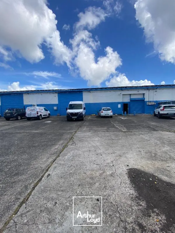 Locaux d'activité & Entrepôts - Location - Fort De France - 97200 - 260-260 - 7951928