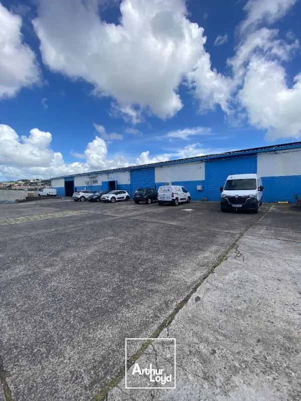 Locaux d'activité & Entrepôts - Location - Fort De France - 97200 - 260-260 - 7951927