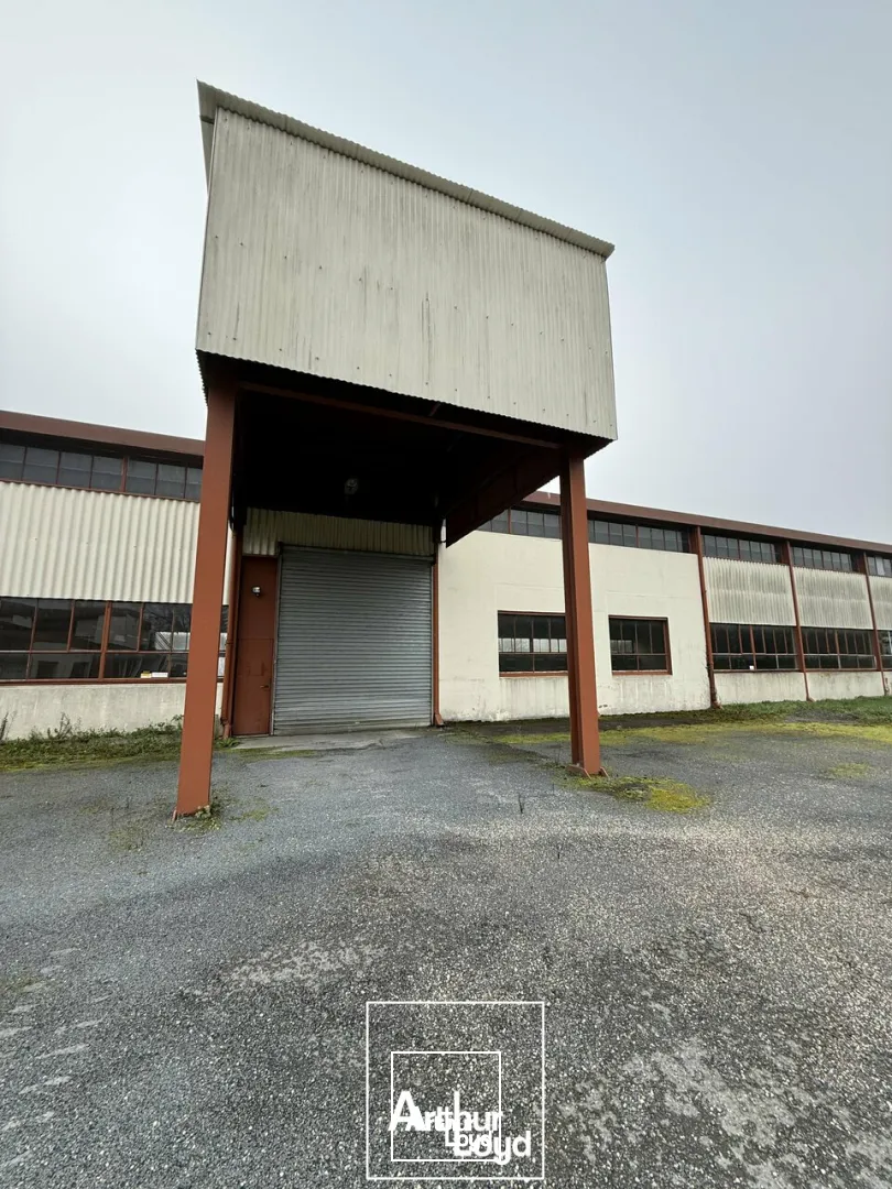 Bureaux - Location - TERRASSON-LAVILLEDIEU - 24120 - 1213-1213 - 7952903