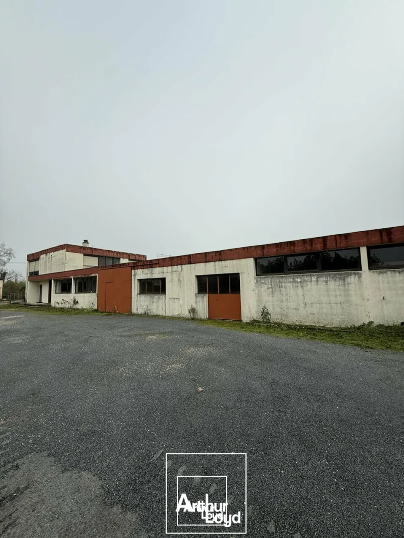 Bureaux - Location - TERRASSON-LAVILLEDIEU - 24120 - 1213-1213 - 7952904