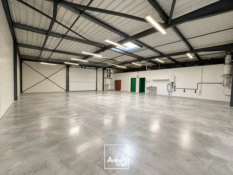 Locaux d'activité & Entrepôts - Vente - NEUILLÉ-PONT-PIERRE - 37360 - 280-280 - 7953008