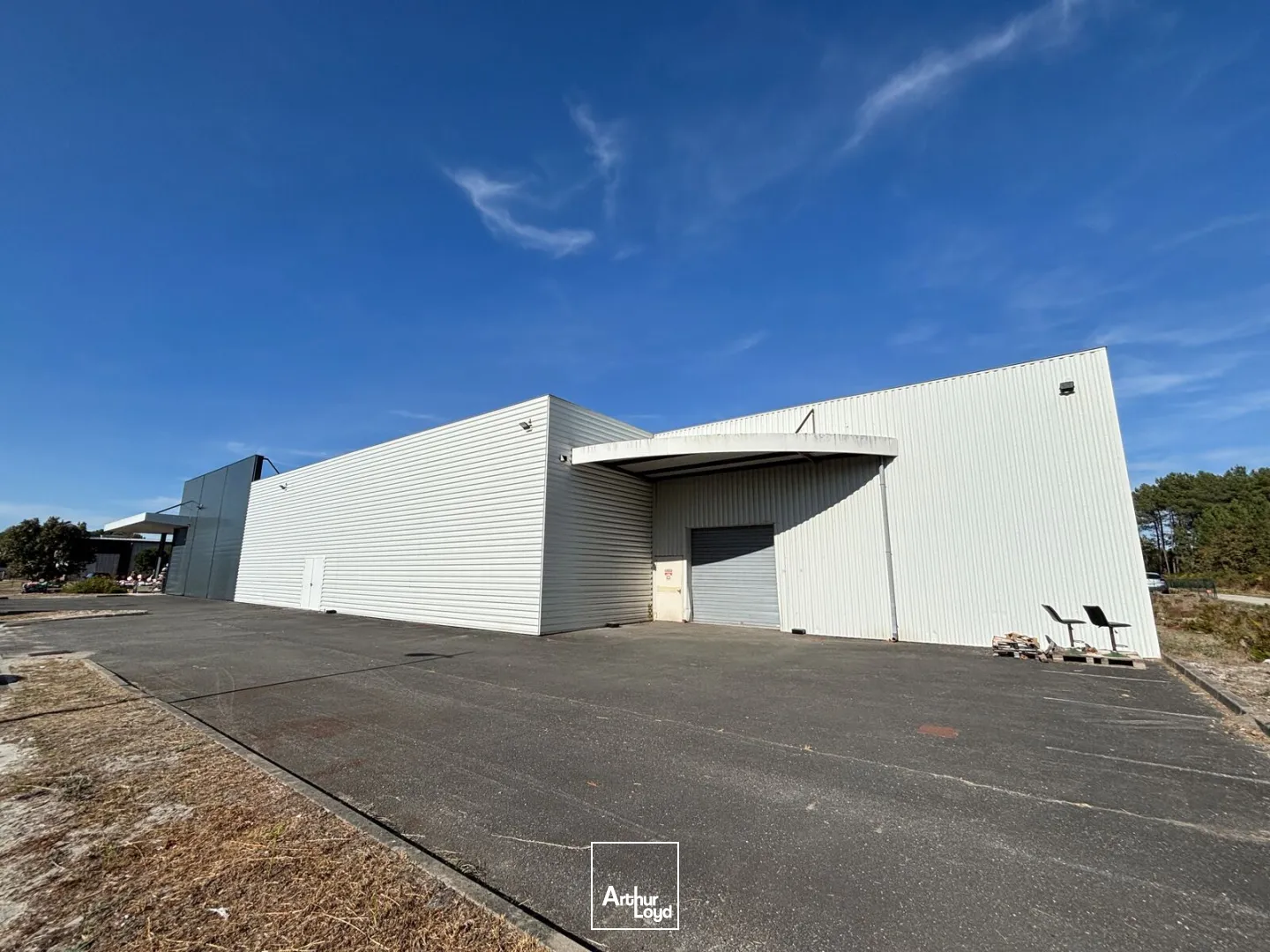 Locaux commerciaux - Location - BIGANOS - 33380 - 1757-1757 - 7953207