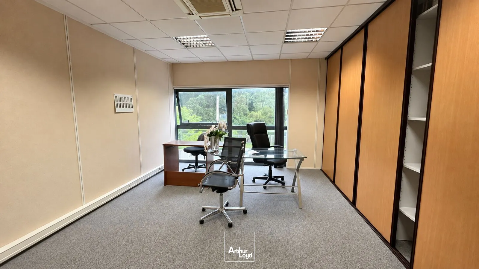 Bureaux - Location - OLIVET - 45160 - 206-206 - 7953313