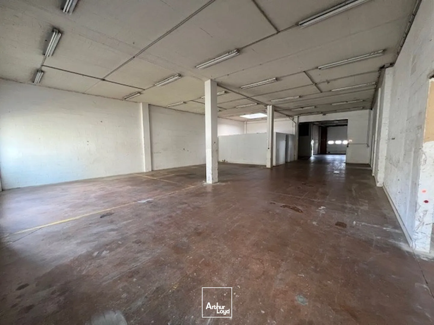 Locaux d'activité & Entrepôts - Vente - BUC - 78530 - 492.1-1203.1 - 7953490