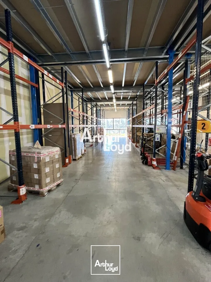 Locaux d'activité & Entrepôts - Location - MOUGINS - 06250 - 580-580 - 7953936