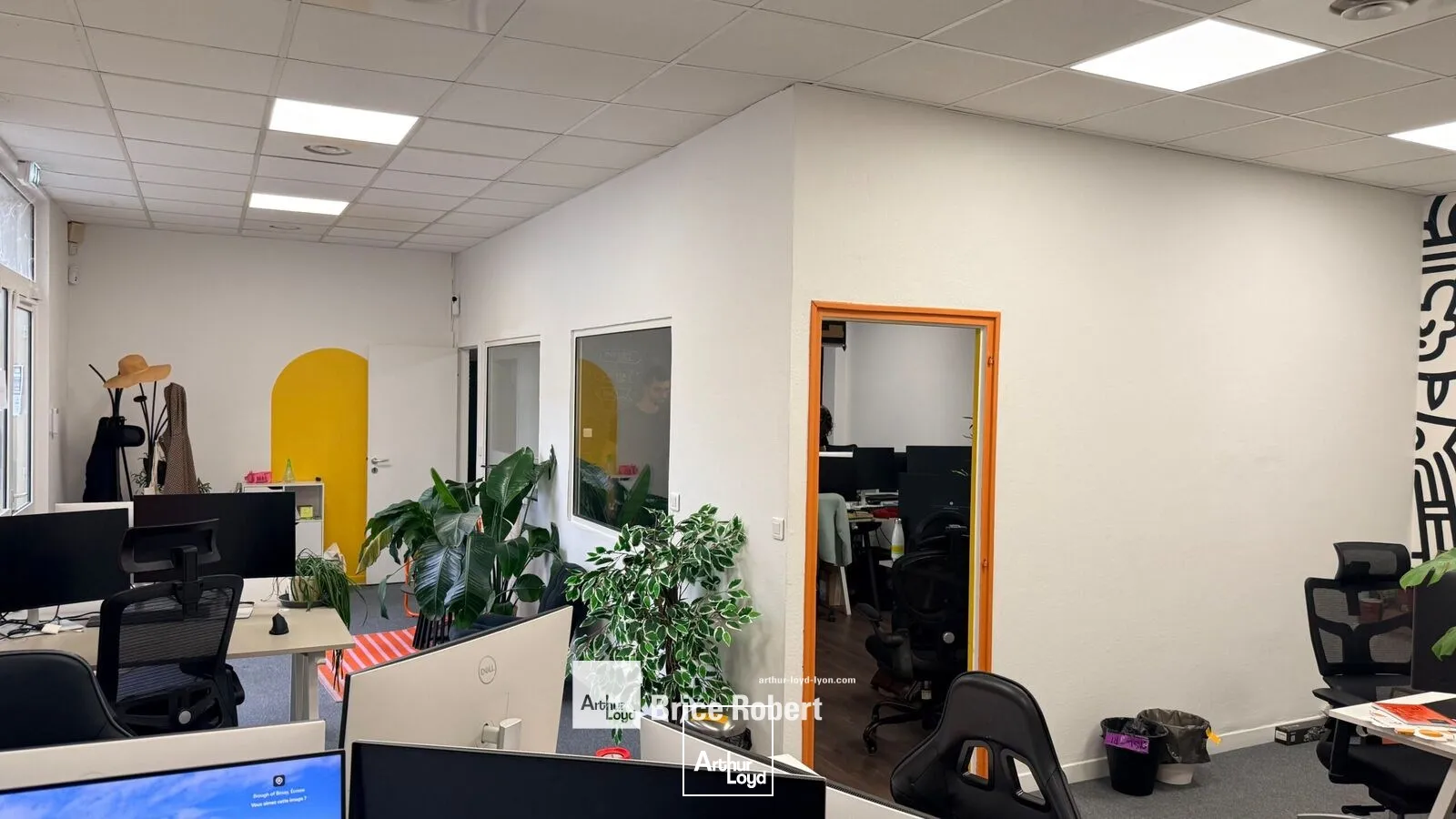 Bureaux - Location - LYON - 69006 - 140-410 - 7954713