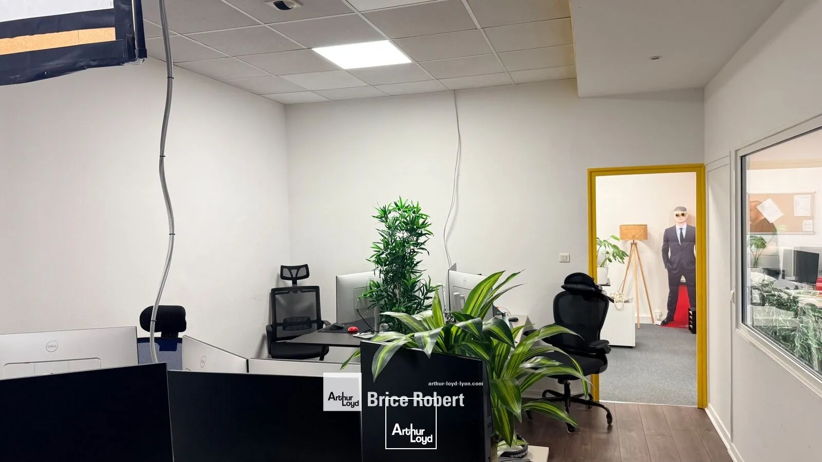 Bureaux - Location - LYON - 69006 - 140-410 - 7954715