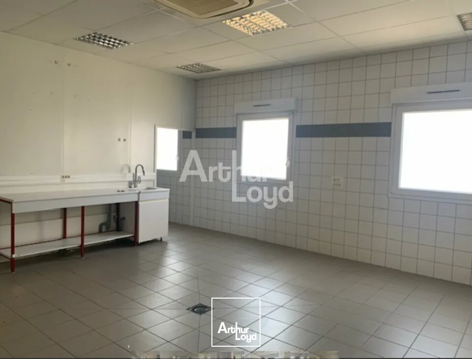 Locaux d'activité & Entrepôts - Location - ARCHAMPS - 74160 - 277-277 - 7954926