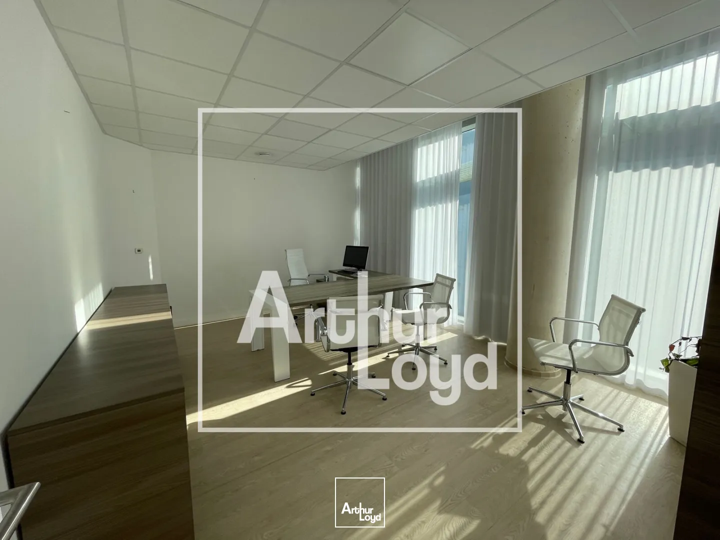Bureaux - Location - CASTELNAU LE LEZ - 34170 - 79.66-79.66 - 7956246